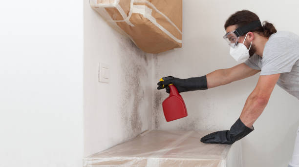 Professional Attic Mold Remediation technician working in Cedarhurst, NY